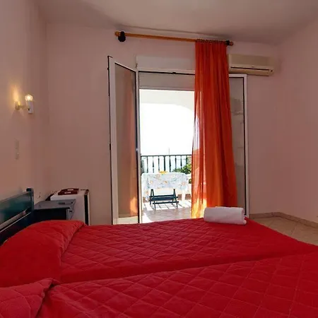 Elena * פטיטיריון